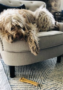 9F866D94-2D62-4BCE-ABA2-94EACFEF9A4B